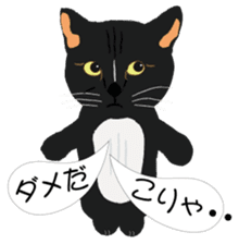 Cat Club sticker #8535395