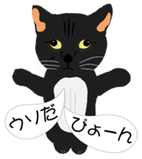 Cat Club sticker #8535396