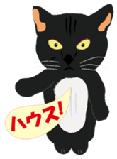 Cat Club sticker #8535397