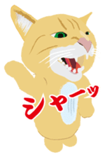 Cat Club sticker #8535400