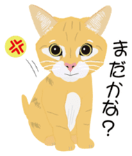 Cat Club sticker #8535402