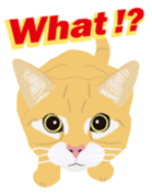 Cat Club sticker #8535403