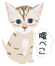 Cat Club sticker #8535415