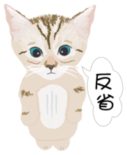 Cat Club sticker #8535416