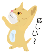 Cat Club sticker #8535418