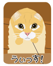 Cat Club sticker #8535425