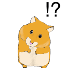 Hamster fat sticker #8535518