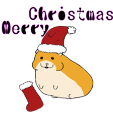 Hamster fat sticker #8535523