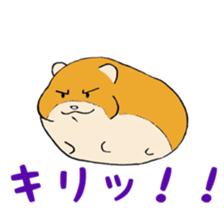 Hamster fat sticker #8535527