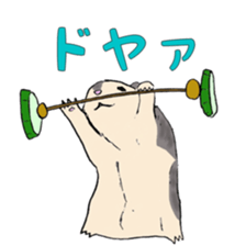 Hamster fat sticker #8535532