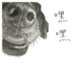 a old dog sticker #8536267