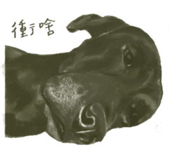 a old dog sticker #8536269