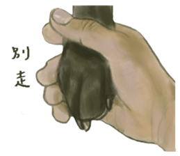 a old dog sticker #8536274