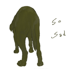 a old dog sticker #8536275