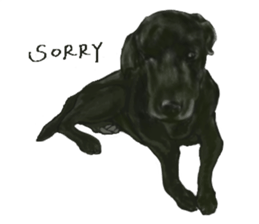 a old dog sticker #8536282