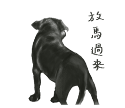 a old dog sticker #8536283