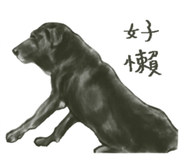 a old dog sticker #8536285