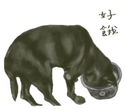 a old dog sticker #8536287