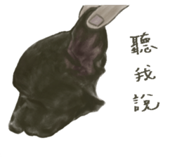 a old dog sticker #8536289