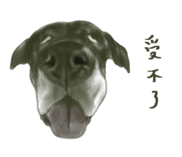 a old dog sticker #8536292