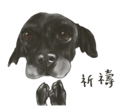 a old dog sticker #8536293