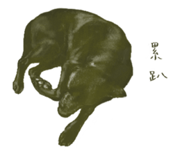 a old dog sticker #8536295