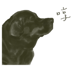 a old dog sticker #8536296