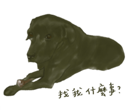 a old dog sticker #8536297