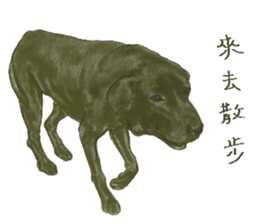 a old dog sticker #8536298