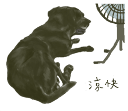 a old dog sticker #8536301