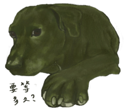 a old dog sticker #8536304