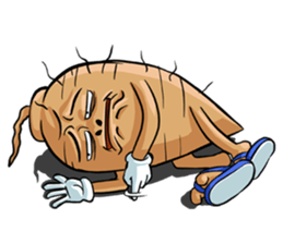 This is "ginseng" sticker #8537734