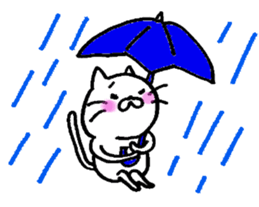 WHITE CAT  siro neko sticker #8537766