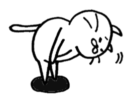 WHITE CAT  siro neko sticker #8537767