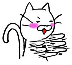 WHITE CAT  siro neko sticker #8537783