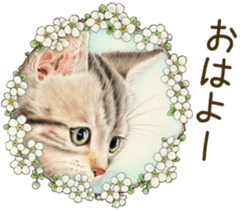 Cat and his companions sticker #8539666