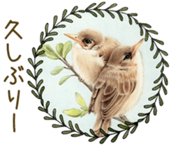 Cat and his companions sticker #8539678