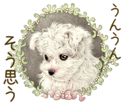 Cat and his companions sticker #8539679