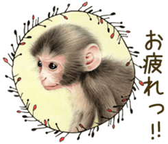 Cat and his companions sticker #8539682