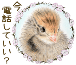 Cat and his companions sticker #8539691