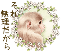 Cat and his companions sticker #8539694