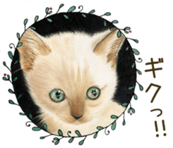 Cat and his companions sticker #8539701