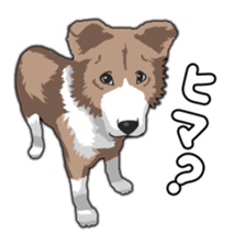 Comical dog sticker sticker #8539826