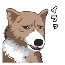 Comical dog sticker sticker #8539850