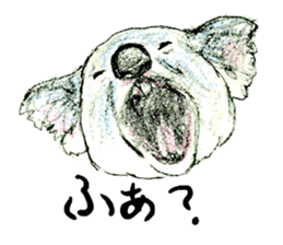 Sleepy Koala sticker #8540755