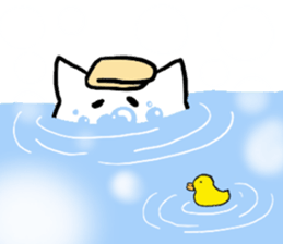 aka crazy cat sticker #8542277