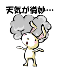 USAUSABUNNY3(Weather) sticker #8542954
