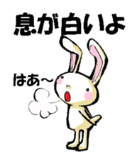 USAUSABUNNY3(Weather) sticker #8542967