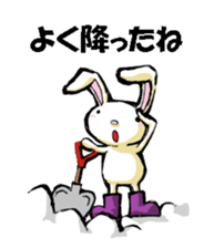 USAUSABUNNY3(Weather) sticker #8542970