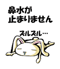 USAUSABUNNY3(Weather) sticker #8542985